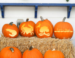 little river pumpkin stencils