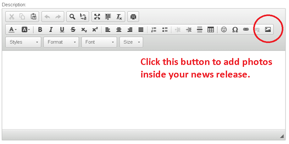 Screenshot of 'image' button on edit options inside grey description box.